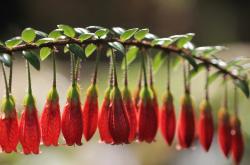 英雄联盟总决赛门票-终极之战，牙买加闪电如何在大西洋风暴中掀翻马赛巨轮？