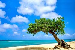 英雄联盟总决赛2025-跨洋奇迹，山西队爆冷击溃凯尔特人，勒布朗·詹姆斯化身关键先生