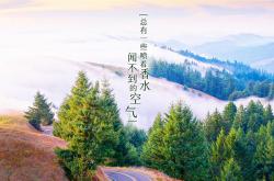 英雄联盟总决赛-终极赛道与绿茵，当F1争冠悬念遇上马赛绝地征服罗马