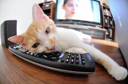 英雄联盟总决赛直播-沉睡的火山终爆发！西亚卡姆数据核爆之夜，骑士马刺上演铁血绞杀！