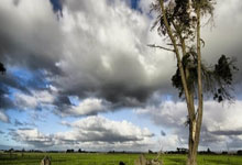 圣西罗惊雷!AC米兰遭勇士重创,意甲王座暗战升级