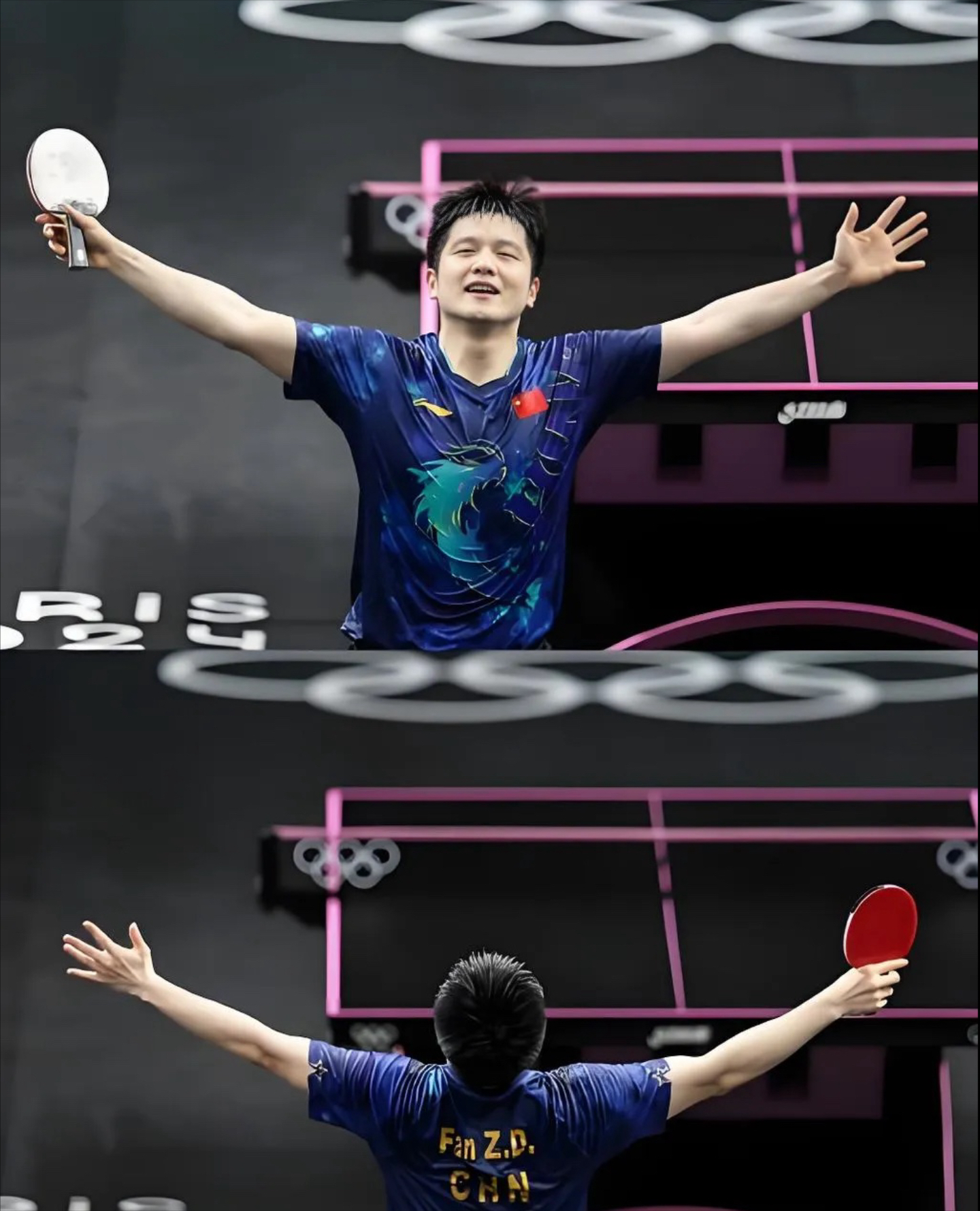 中国队力克奥地利队，樊振东状态火热