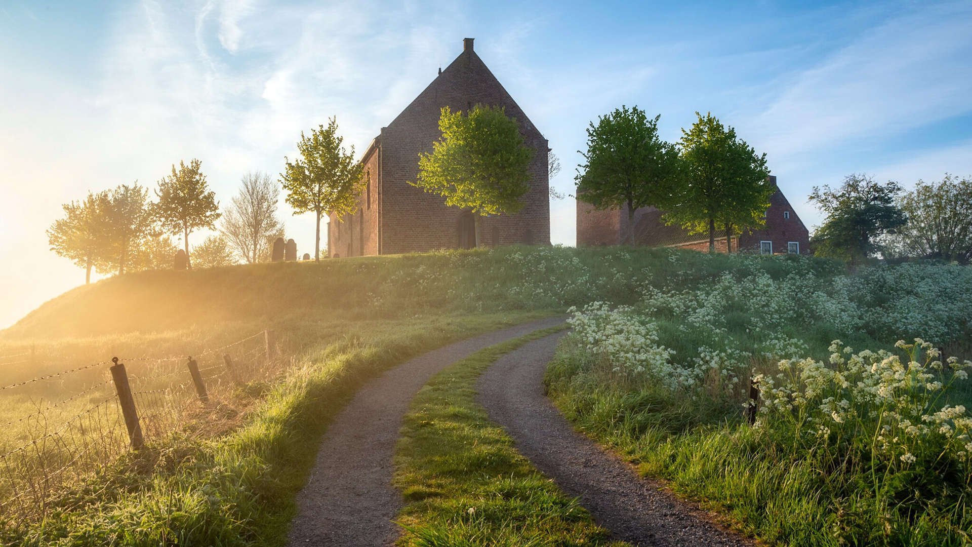 双核时代,布伦森打破质疑的救赎之战与魔术团队篮球的完美风暴
