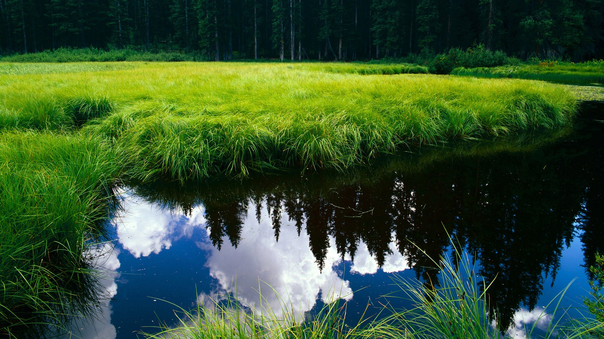 当山脉垒起防线,塔图姆化身惊雷,却劈不开山西的铜墙铁壁