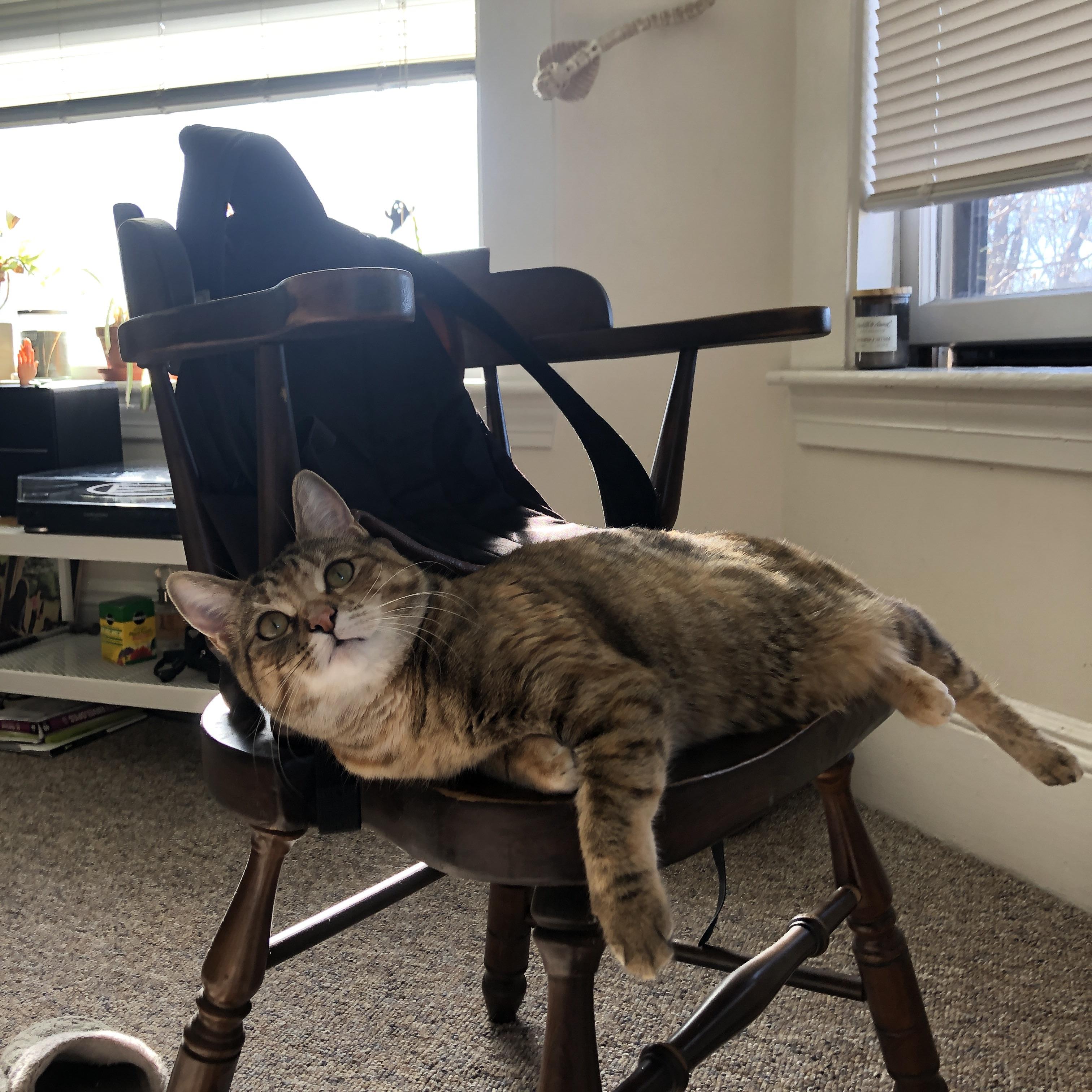 冰封的艺术与熔岩的奔涌，当范戴克的节奏遇见尤文的意志