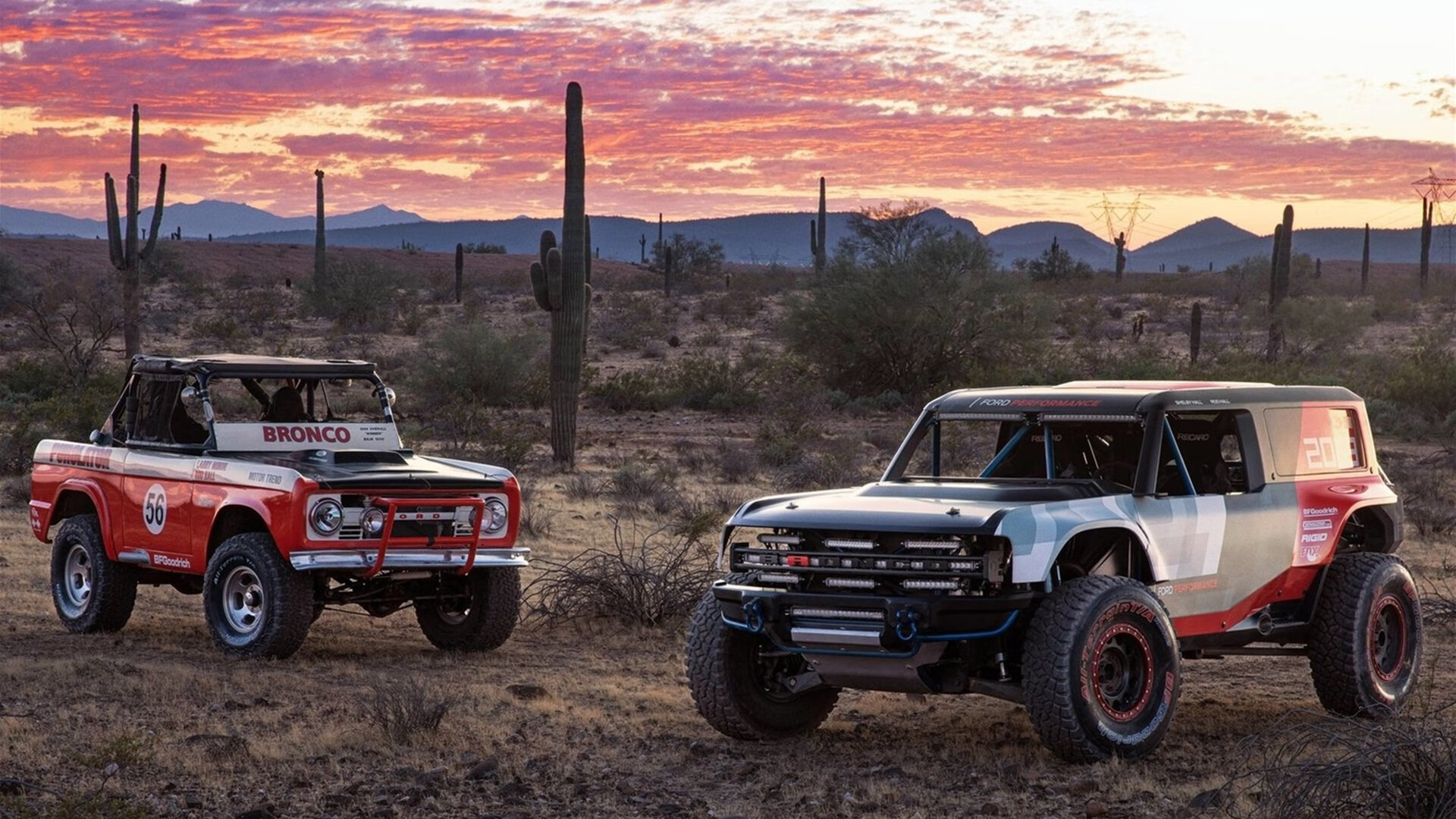 双面神归位,库里撕裂掘金防线背后的英雄主义孤歌