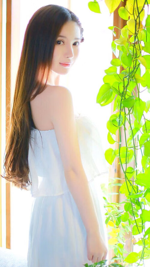 波波维奇怒斥荒谬篮球，哈利伯顿的魔术如何让太阳在一夜间拆毁活塞城？