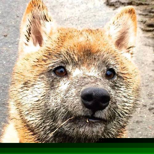 黄金一分钟！希腊闪电战一波流带走埃及，卡瓦哈尔手术刀出鞘定乾坤