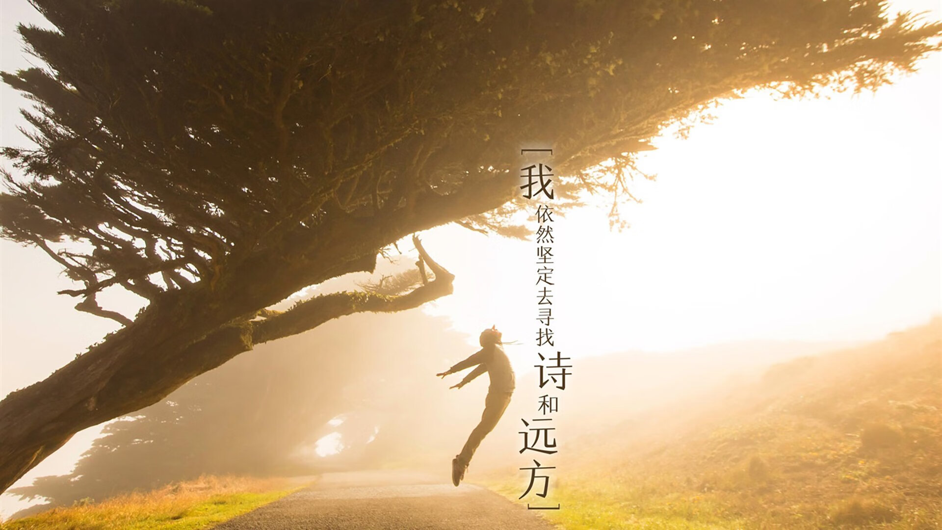 暮色、奔跑与不朽，当京多安的两道闪电劈开欧冠之夜