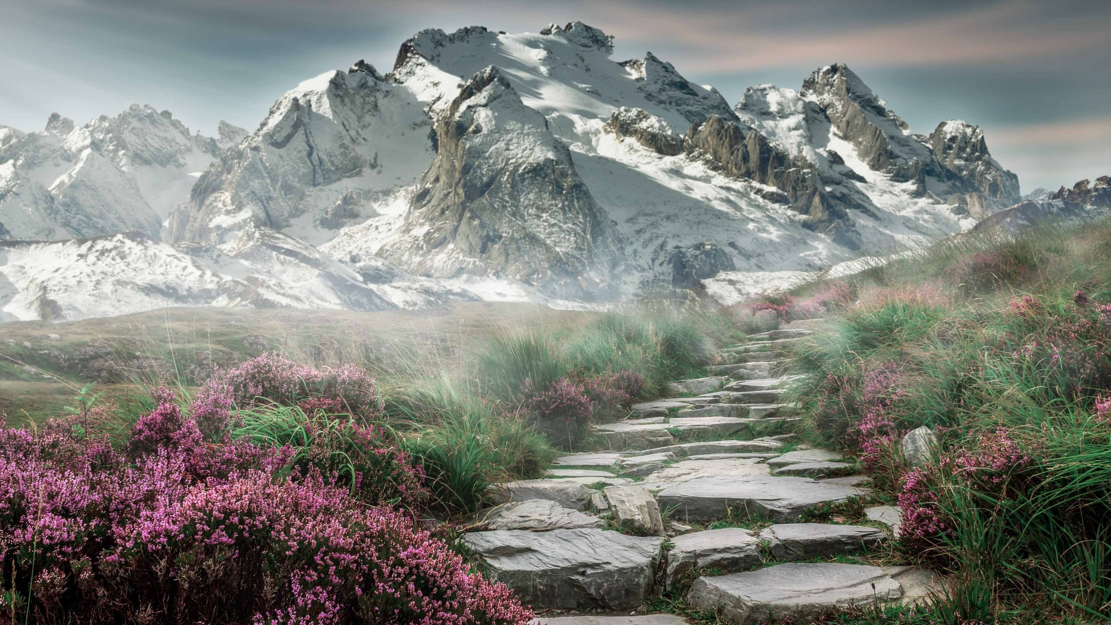 舞台没有大小,只有敢不敢赢的心跳,从格林到辽宁队,真正的强大是征服任何舞台的渴望