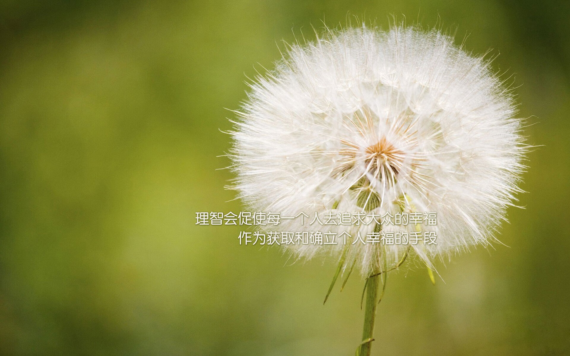 聚光灯外的决胜齿轮,西亚卡姆如何用平凡主宰京沪大战