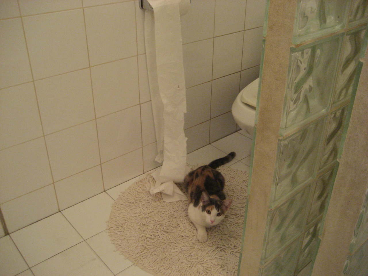 血性之路,从西非海岸到东决地板 论个体与民族的韧性绽放