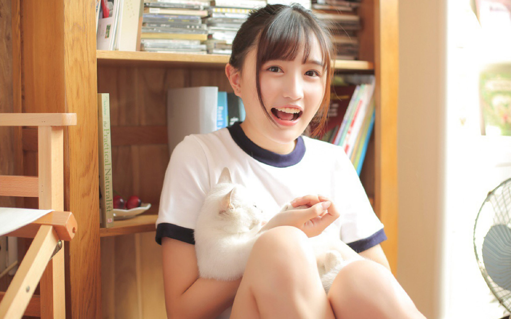 杰伦格林爆发狂飙30分,魔术队提前终结悬念轻取广厦队