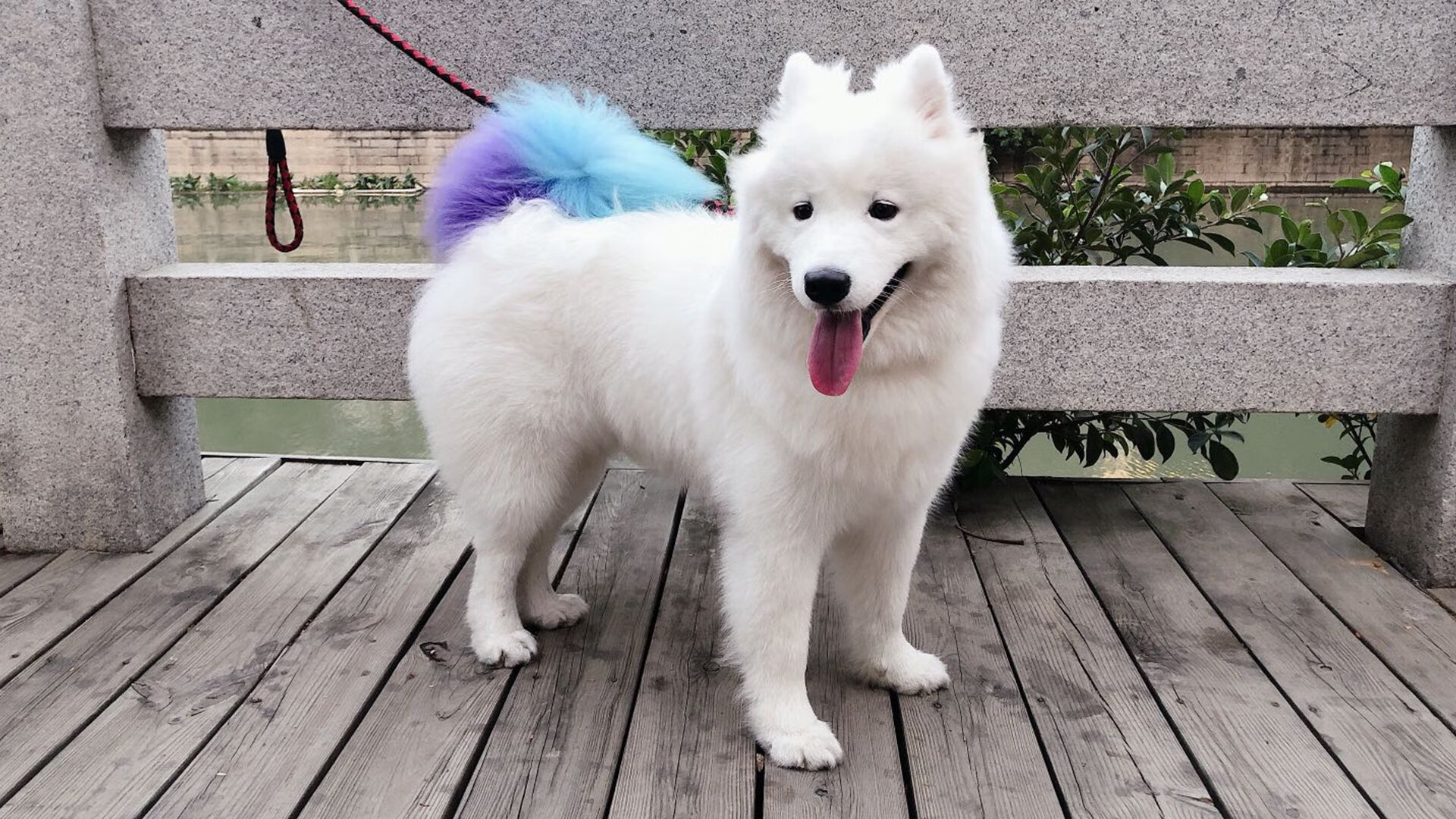 北美寒流侵袭三晋大地,篮网爆冷山西队,西亚卡姆三双狂潮震惊CBA