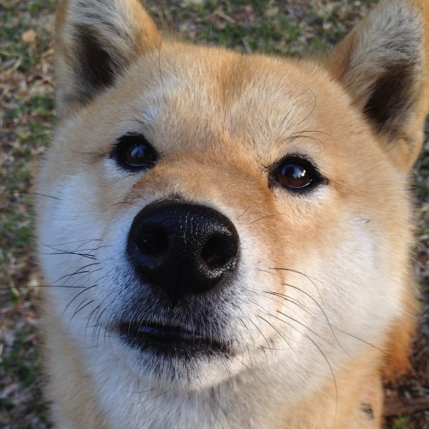 赛道硝烟未散,球场已鸣终场哨,速度时代的两极48小时
