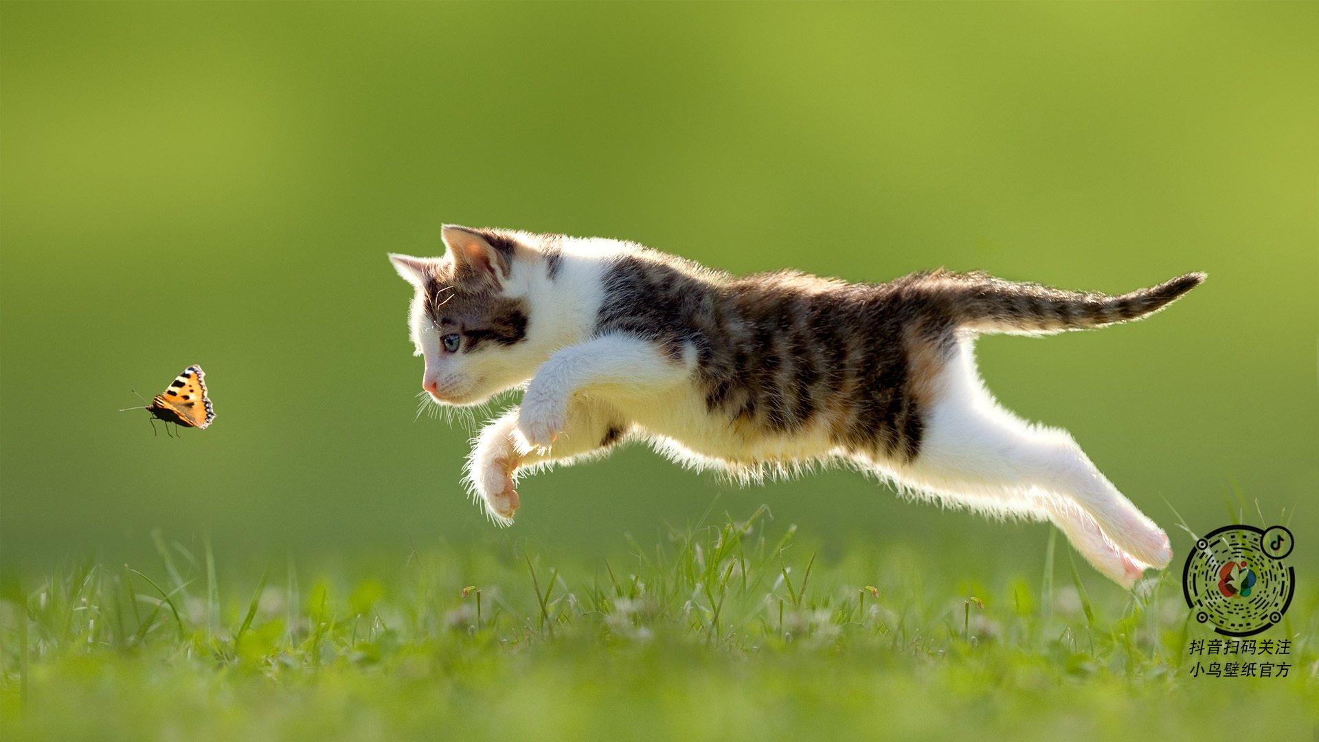 冰雪之地与沙漠狂飙，唯一性如何炼成—从山西队的绝地反击到拉文的方向盘革命