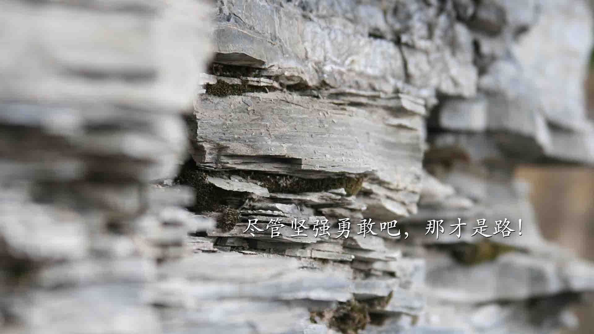 美加墨世界杯焦点战，那不勒斯3-0轻取塞维利亚，预热足球盛宴