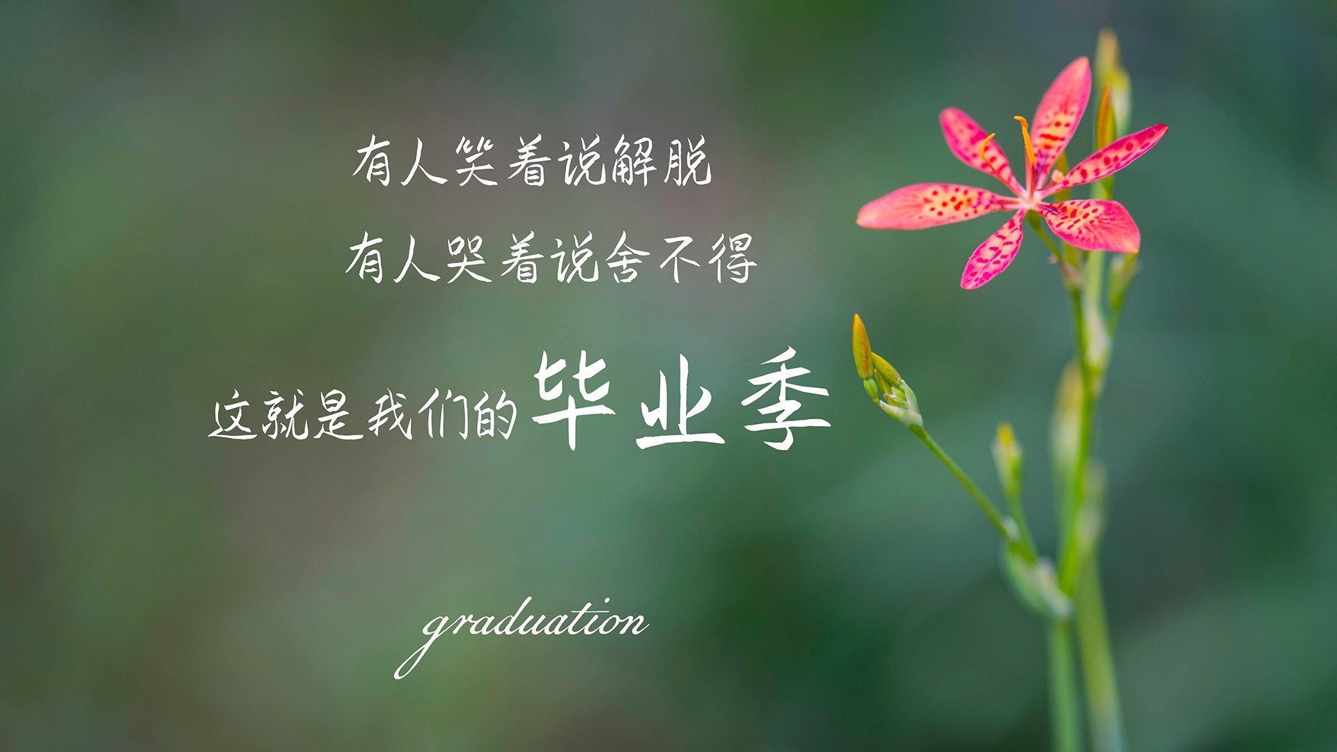 悬崖边的反击,雷霆生死战撕裂独行侠,续写青春风暴