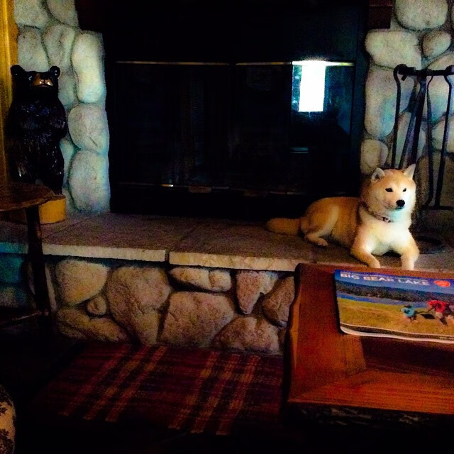 棋盘上的钢铁防线，巴斯托尼如何用加拿大进攻的思维一波摧毁AC米兰