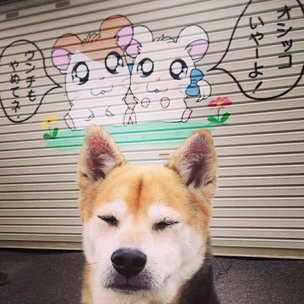 逆转与绝杀,2026世界杯A组关键战,波兰破局越南,三笘薰领衔东亚之光